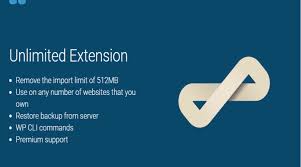 All in One WP Migration Unlimited Extension