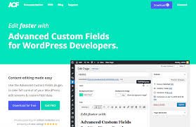 Advanced Custom Fields (ACF)